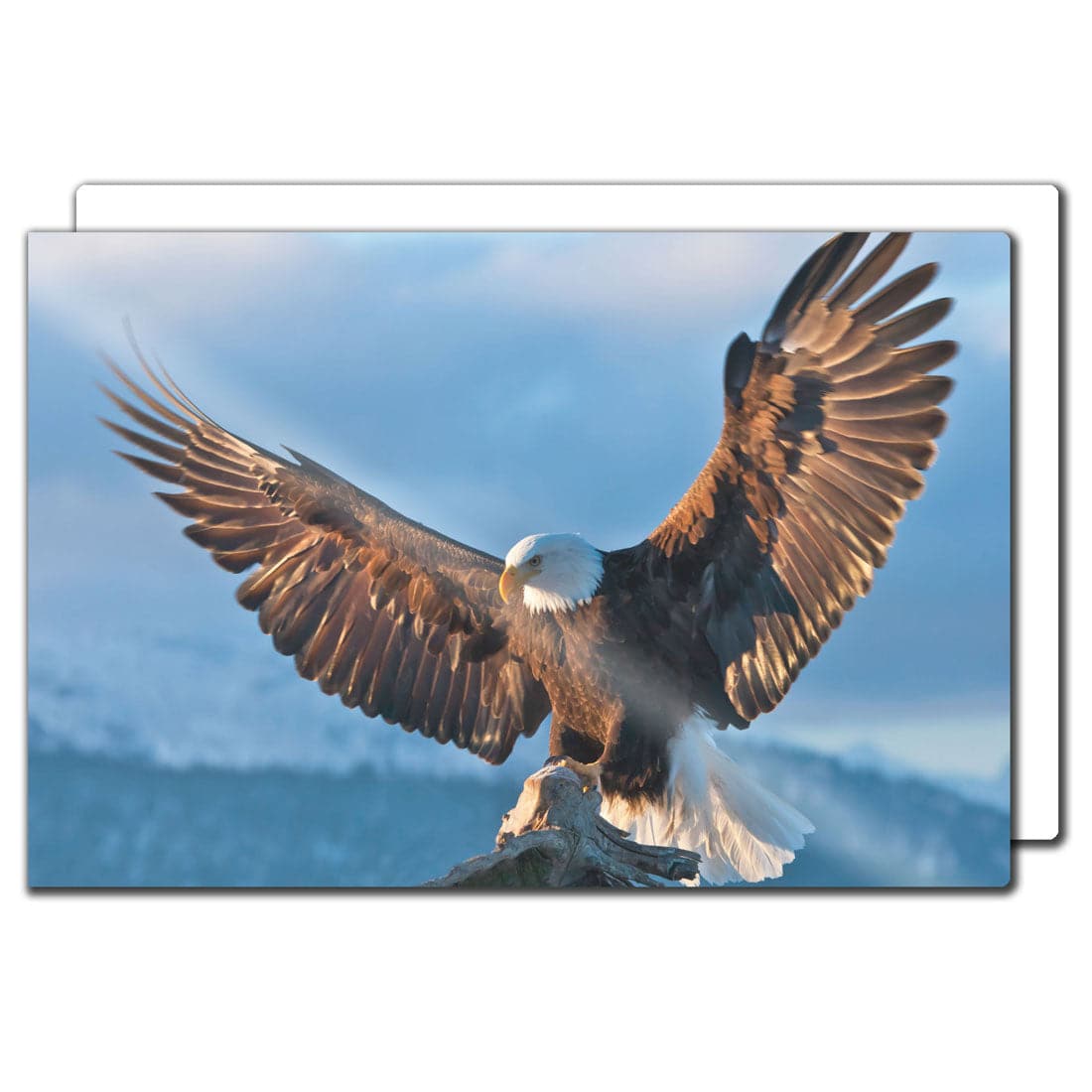 Sublimation HD Photo Panels - 20" x  30" - Pack of 10