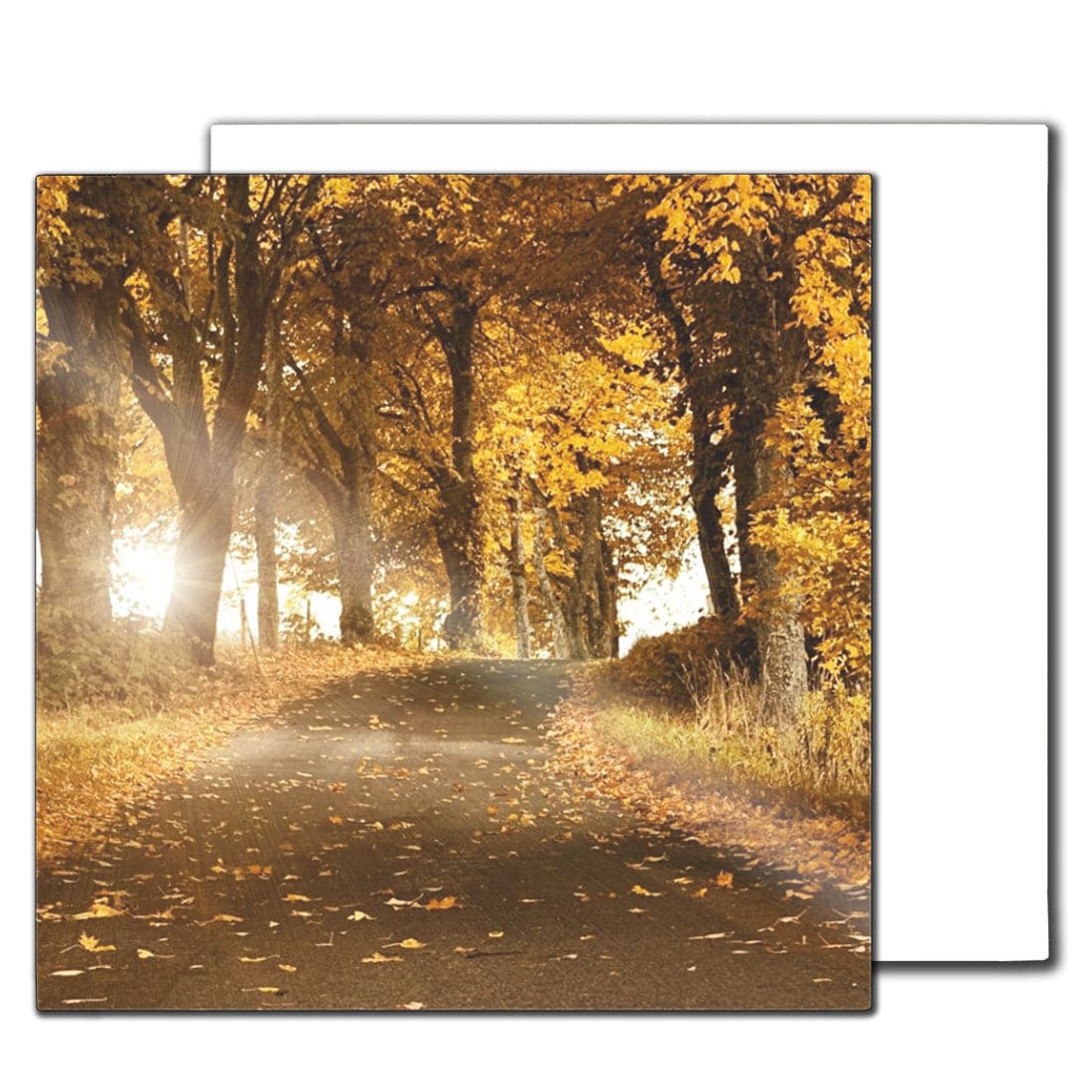 iLumipiX™ Sublimation HD Photo Panels - 8