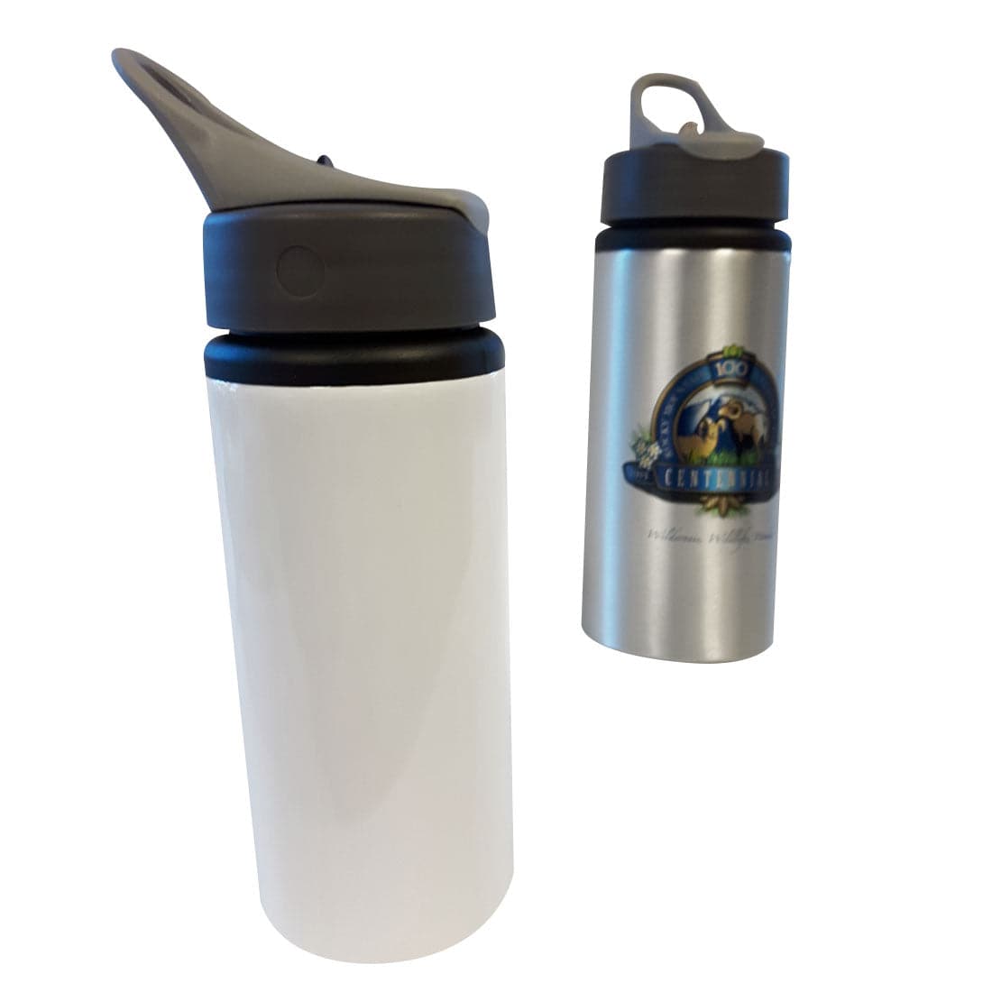 Pearl Coating™ 650ml Sublimation Aluminum Bottle with Straw - Pack of 6 - Joto Imaging Supplies US