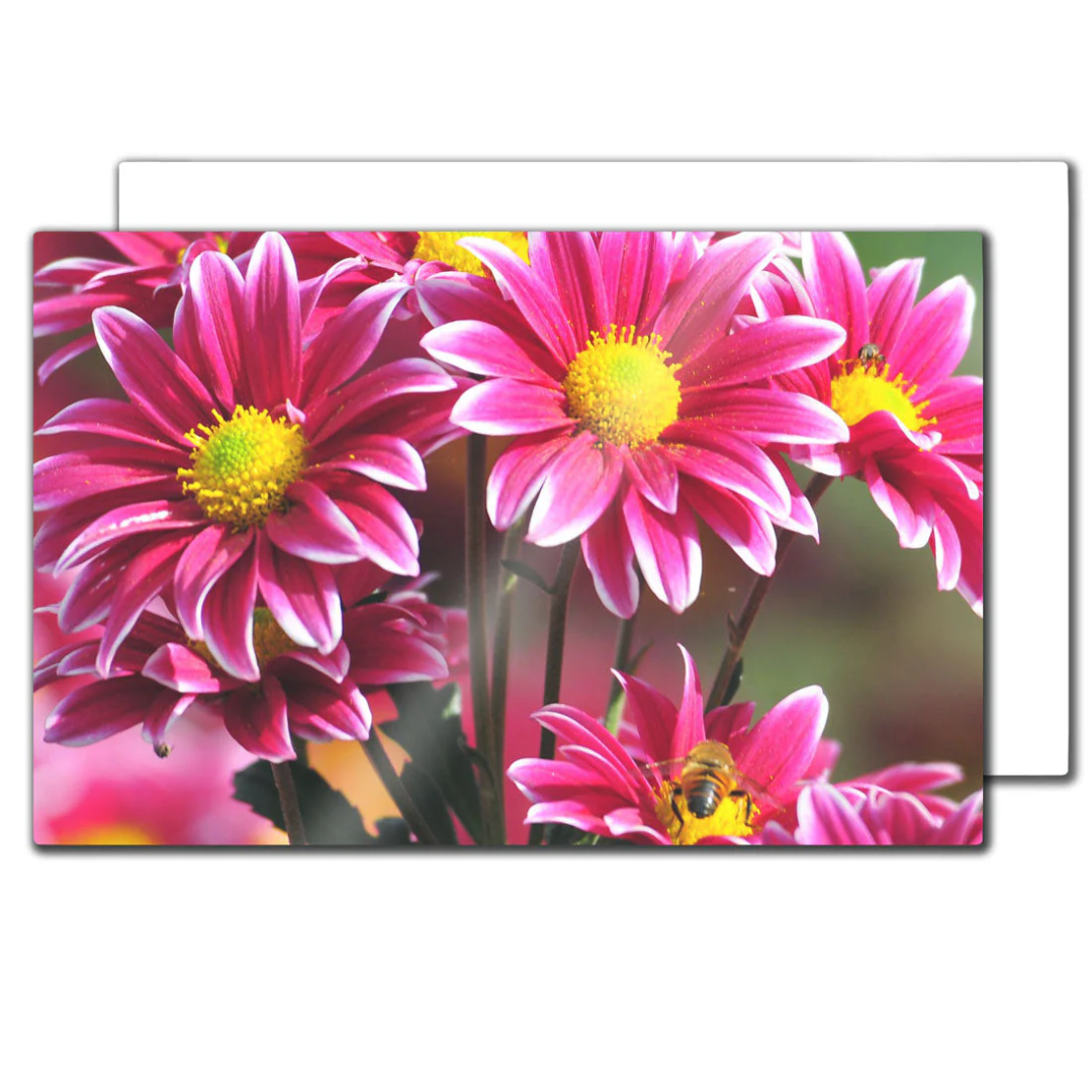 iLumipiX™ Sublimation HD Photo Panels - 12" x 24" - Pack of 10 - Joto Imaging Supplies US