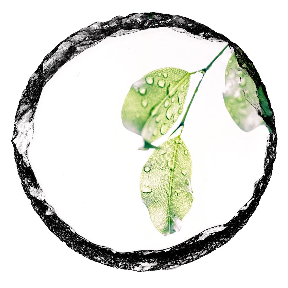 Sublimation Slate Mug Coaster - Pack of 10