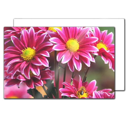 Sublimation HD Photo Panels - 12" x 18" - Pack of 10