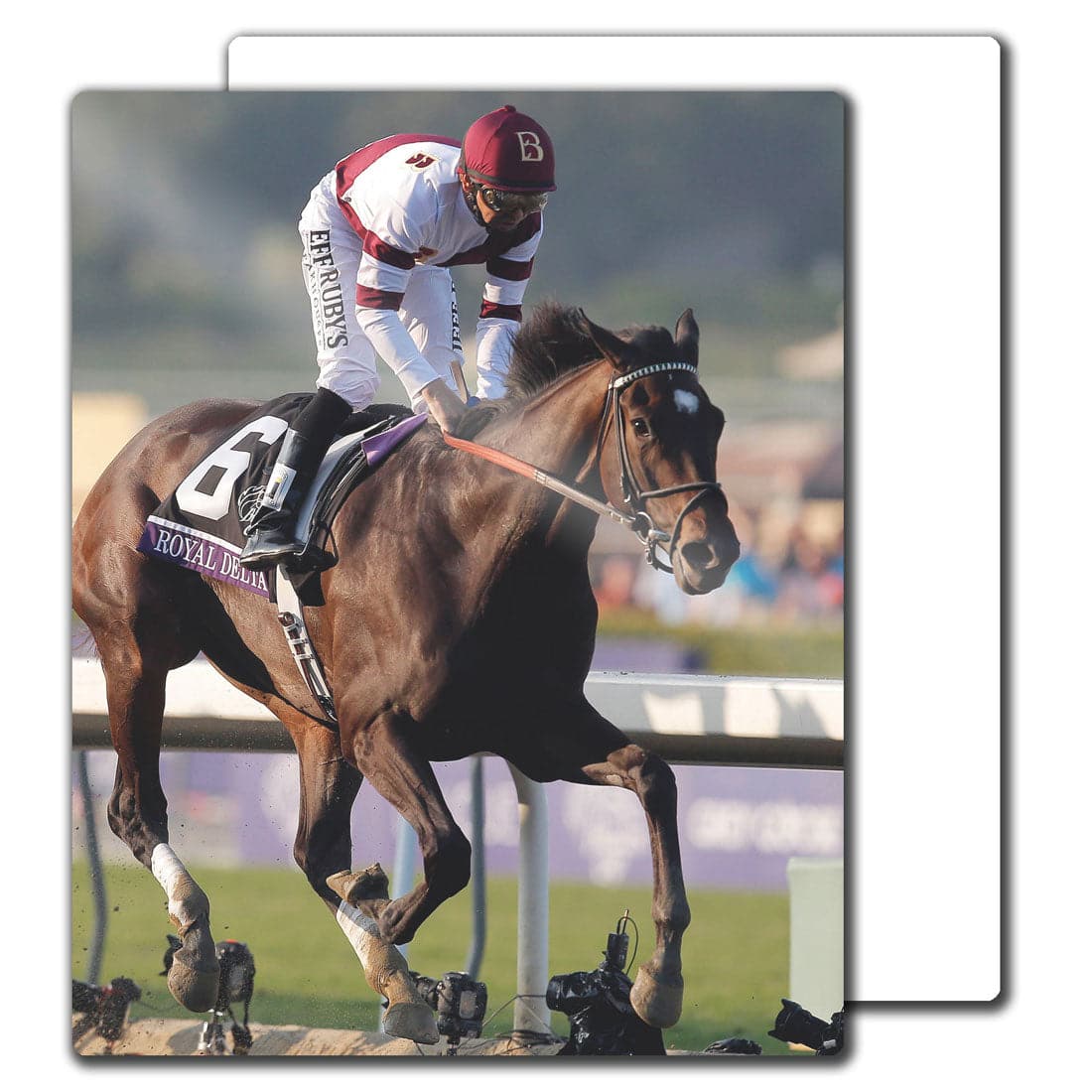 Sublimation HD Photo Panels - 16" x 20" - Pack of 10