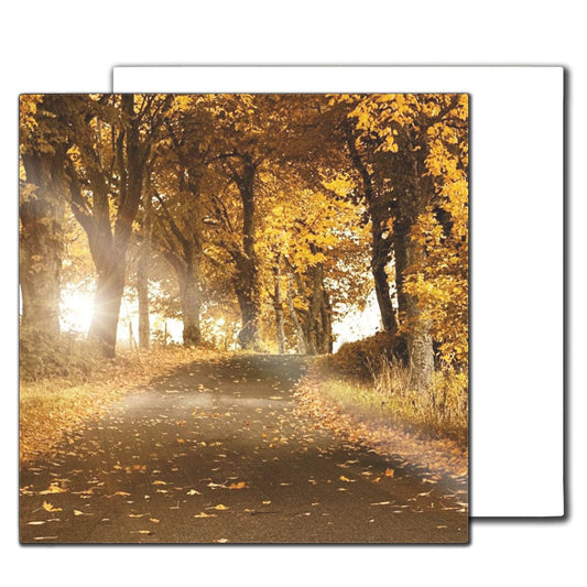 Sublimation HD Photo Panels - 8" x 8" - Pack of 10